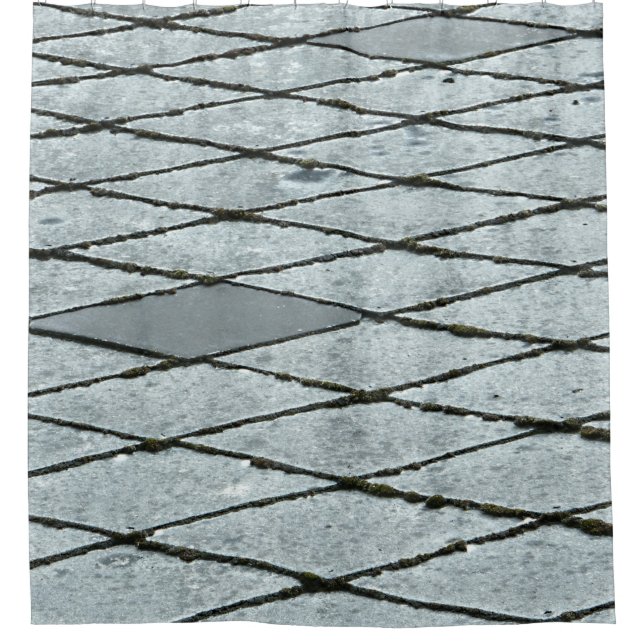 Gray concrete pavement shower curtain (Front)