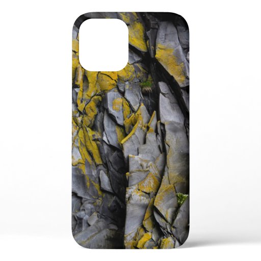 GRAY CONCRETE WALL iPhone 12 CASE