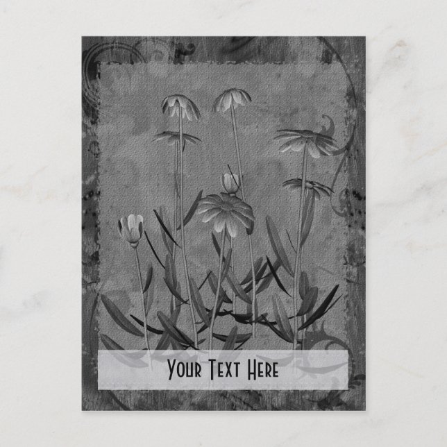 Gray Daisies Floral Customizable Postcard (Front)