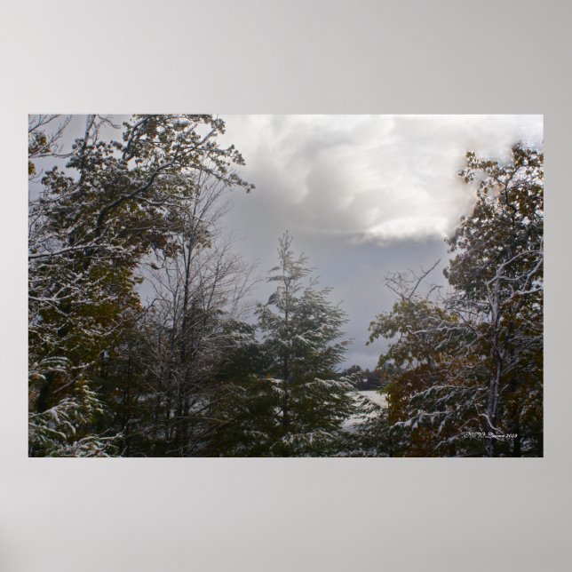 Gray Day Beauty Poster (Front)