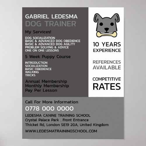 Gray Dog Dog Trainer Advertising Poster