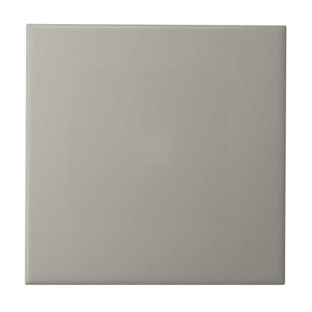 Gray Dorian Square Kitchen and Bathroom Ceramic Ti Ceramic Tile (Front)
