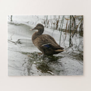 Gray duck on dark the lake jigsaw puzzle