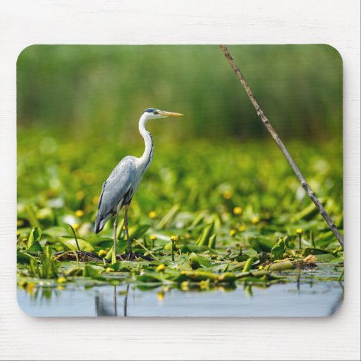 Gray eggs in the swamps of the Danube delta Mousep Mouse Pad