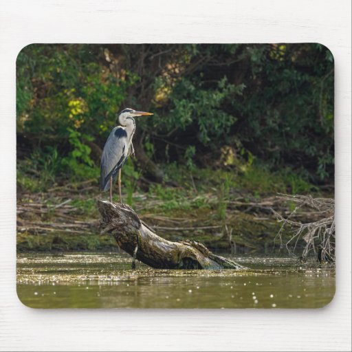 Gray eggs in the swamps of the Danube delta Mousep Mouse Pad
