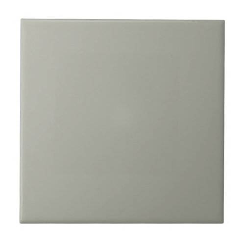 Gray Escape Square Kitchen and Bathroom Ceramic Tile