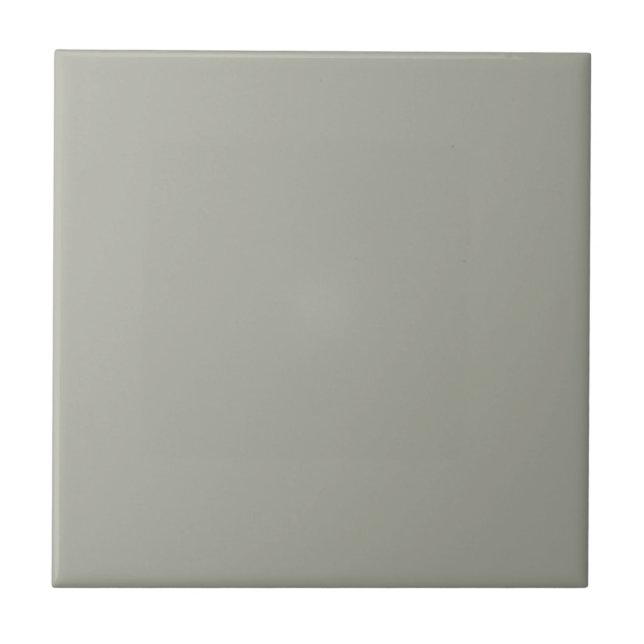 Gray Escape Square Kitchen and Bathroom Ceramic Tile (Front)