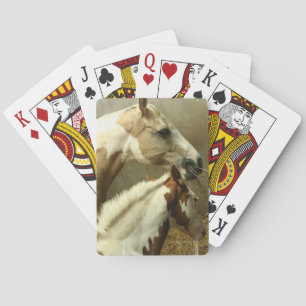 Gray Eventing Horse Deck of Cards
