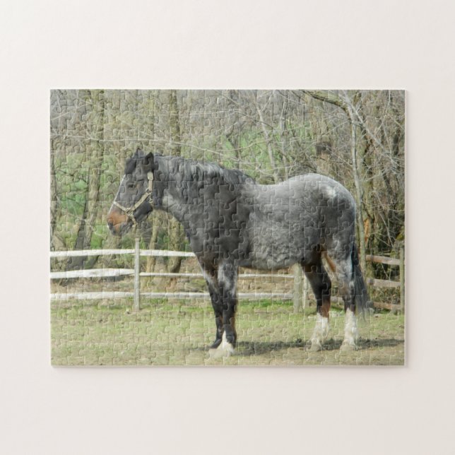 Gray Farm Horse Puzzle (Horizontal)