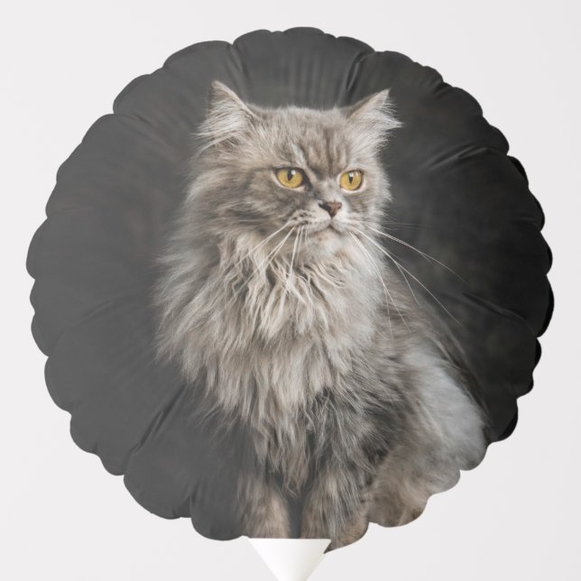 Gray Fluffy Cat  Balloon (Front)