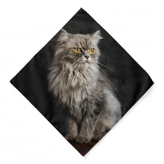 Gray Fluffy Cat  Bandana (Front)