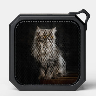 Gray Fluffy Cat Bluetooth Speaker