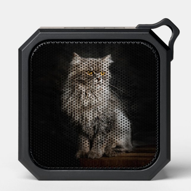 Gray Fluffy Cat  Bluetooth Speaker (Front)