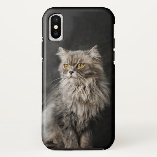 Gray Fluffy Cat  iPhone X Case
