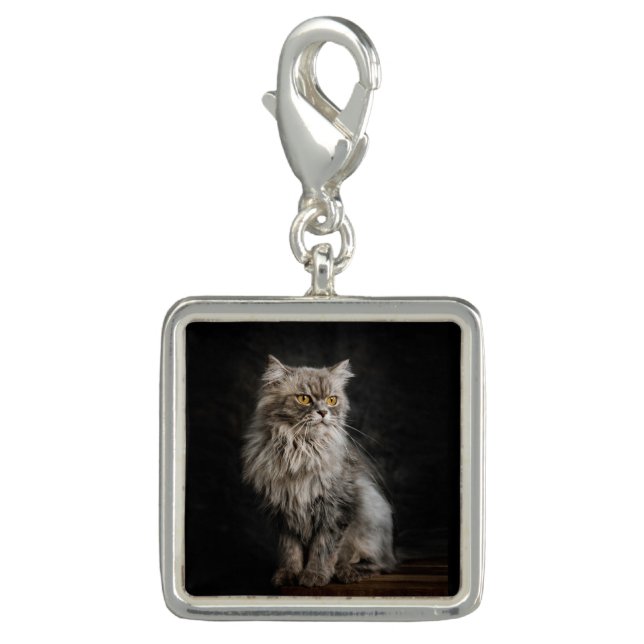 Gray Fluffy Cat  Charm (Front)