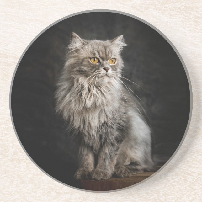 Gray Fluffy Cat  Coaster (Front)