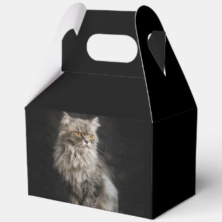 Gray Fluffy Cat  Favor Boxes