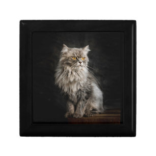 Gray Fluffy Cat Gift Box