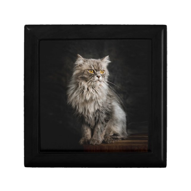 Gray Fluffy Cat  Gift Box (Front)