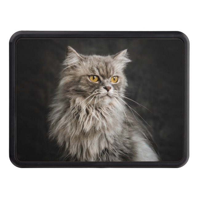 Gray Fluffy Cat  Hitch Cover (Front)