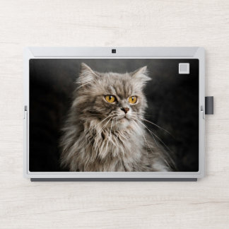 Gray Fluffy Cat HP Laptop Skin