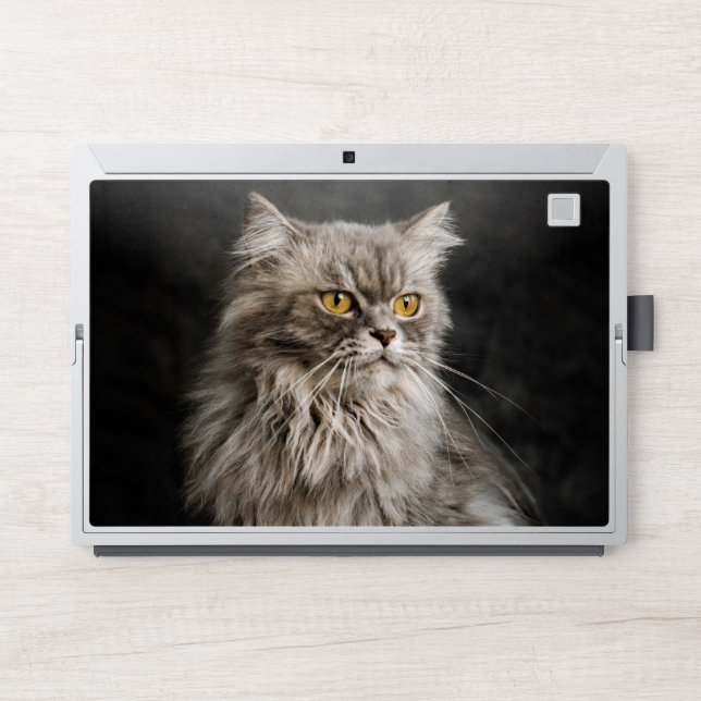 Gray Fluffy Cat  HP Laptop Skin (Front)