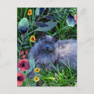 Gray Fluffy Cat in Garden with Flowers Postcard