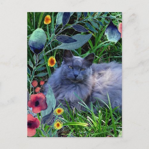 Gray Fluffy Cat in Garden with Flowers Postcard