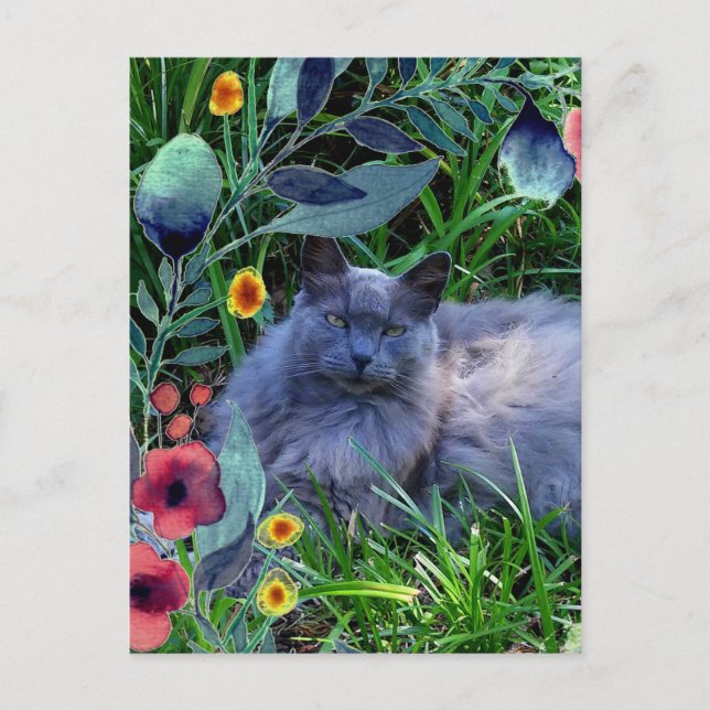 Gray Fluffy Cat in Garden with Flowers Postcard (Front)
