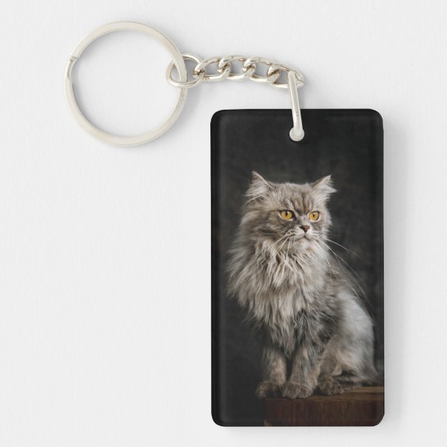 Gray Fluffy Cat  Keychain (Front)