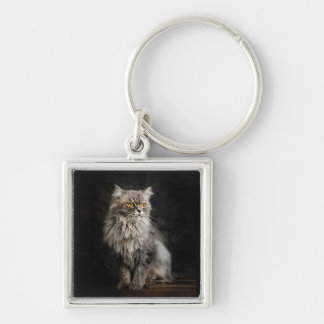 Gray Fluffy Cat Keychain