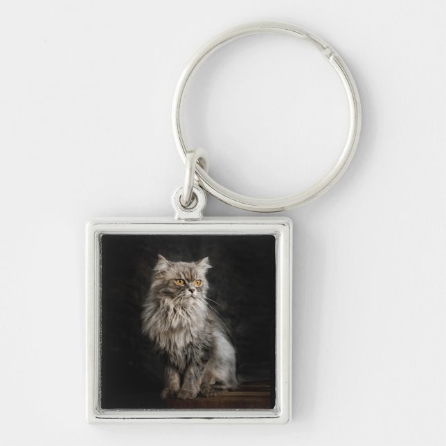Gray Fluffy Cat  Keychain (Front)