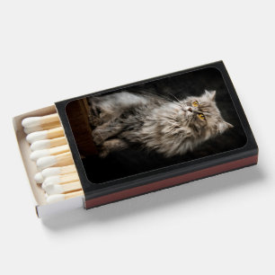Gray Fluffy Cat Matchboxes