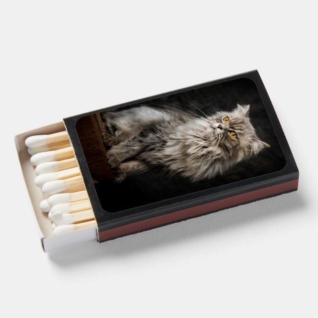 Gray Fluffy Cat  Matchboxes (Front Open)