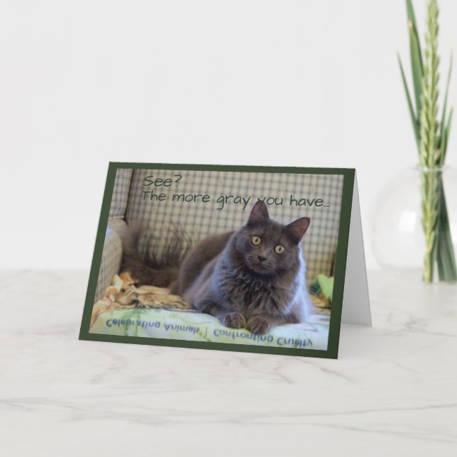 Gray Fluffy Cat on Chair Card (Front)