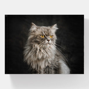 Gray Fluffy Cat or Add Your Own Photo Paperweight