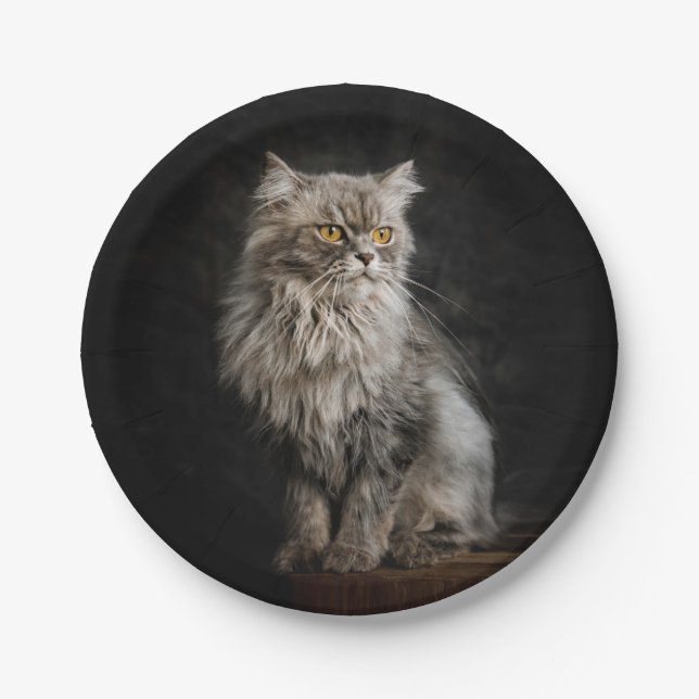 Gray Fluffy Cat  Paper Plates (Front)