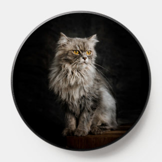 Gray Fluffy Cat  PopSocket