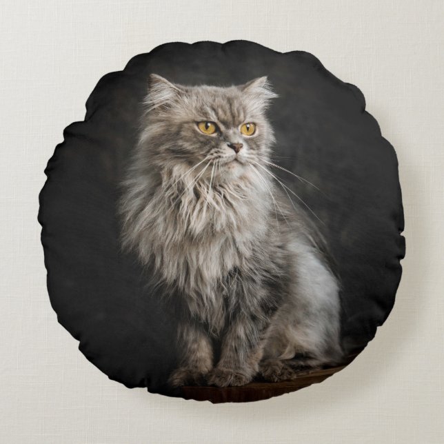 Gray Fluffy Cat  Round Pillow (Front)