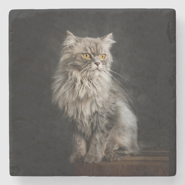 Gray Fluffy Cat  Stone Coaster (Front)