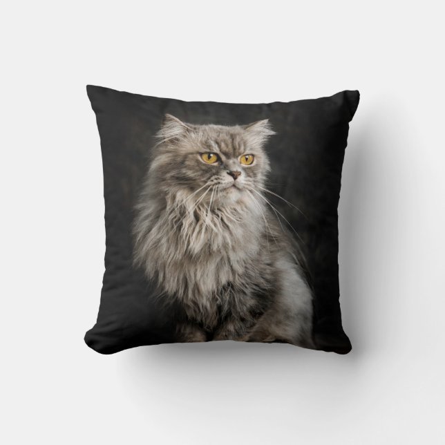 Gray Fluffy Cat  Throw Pillow (Front)