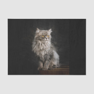Gray Fluffy Cat  Tissue Paper