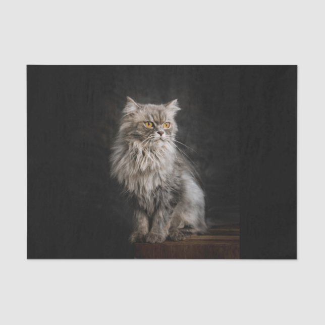 Gray Fluffy Cat  Tissue Paper (Front)