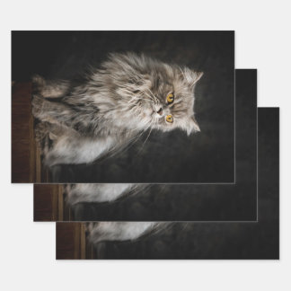 Gray Fluffy Cat  Wrapping Paper Sheets