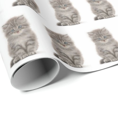 Gray Fluffy Kitten On White Wrapping Paper