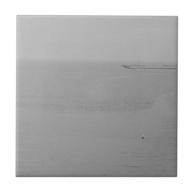 Gray Foggy Water with Seagull Tile (Front)