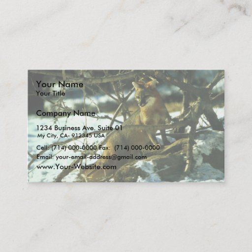 Customizable Gray Fox Business Card