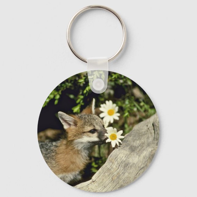 Gray Fox-young kit sniffing/eating flower Keychain (Front)