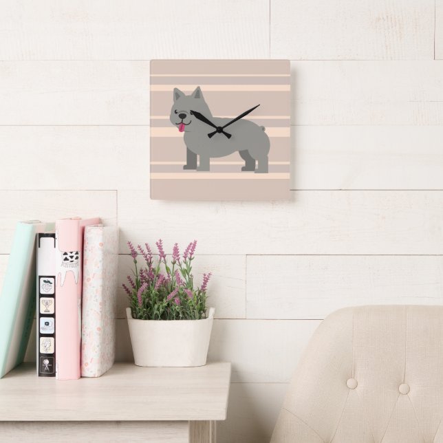 Gray French Bulldog, Beige Striped Square Wall Clock (Reading Room)