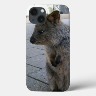 Gray Furry Australian Quokka, iPhone 13 Case